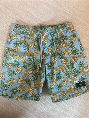Barney Cools Light Blue Pineapple Swim Trunks
